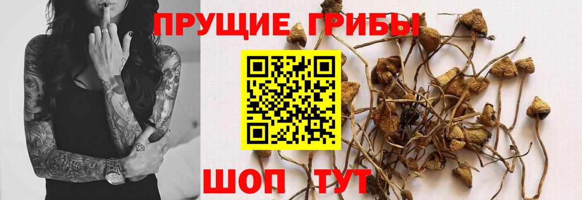 Псилоцибиновые грибы мухоморы  Вход с VPN  Псилоцибиновые грибы Psilocybine cubensis  Междуреченск 